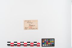 Etiketten zu Perlenkette (NHMW-PRAE-024742)